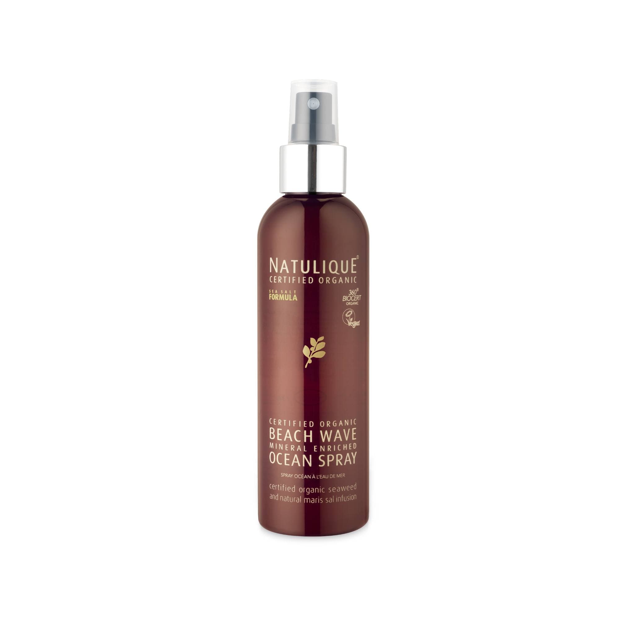 Beach Wave Ocean Spray